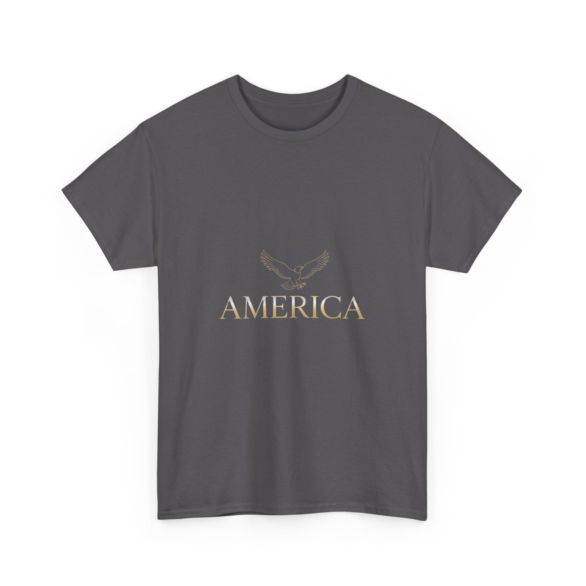 America Eagle Unisex T-Shirt — Patriotic USA Graphic Tee | DTG Print